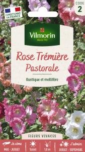 Rose Trémière Pastorale